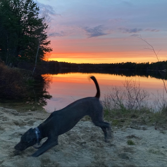 Meet your Posher, Beth - Picture 6 of 14